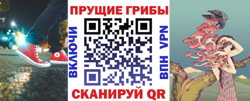 Псилоцибиновые грибы мухоморы  нарко площадка наркотические препараты  Сосновоборск 